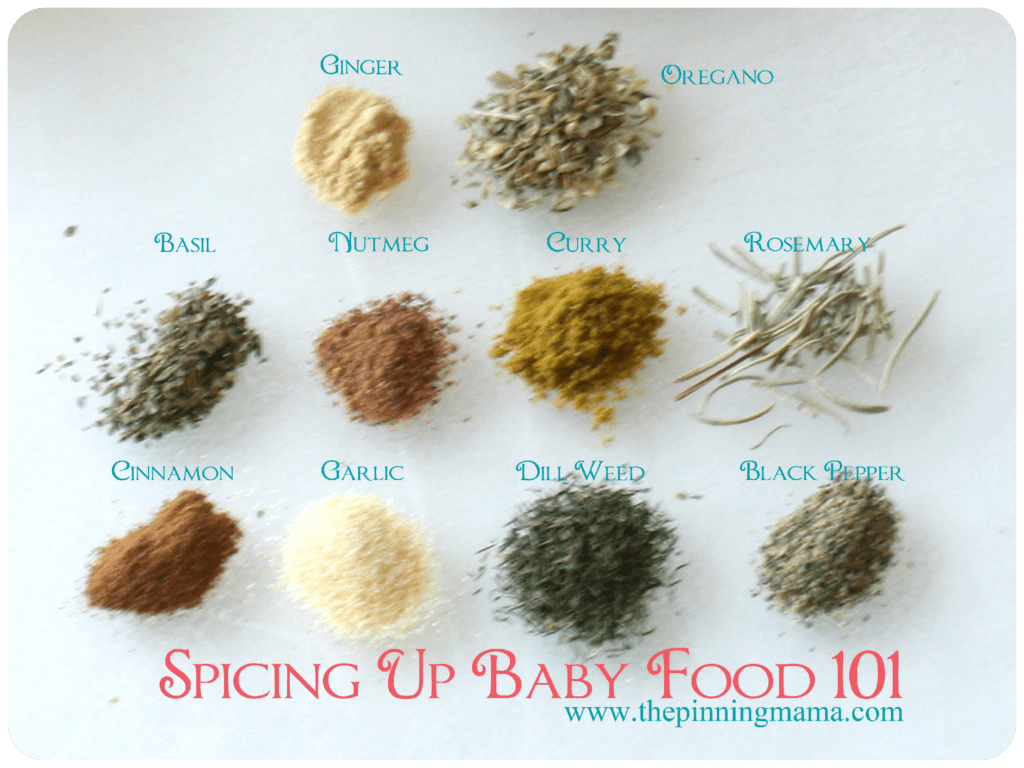spices for babies, spice up baby food, flavor baby food, baby purees, spices in purees