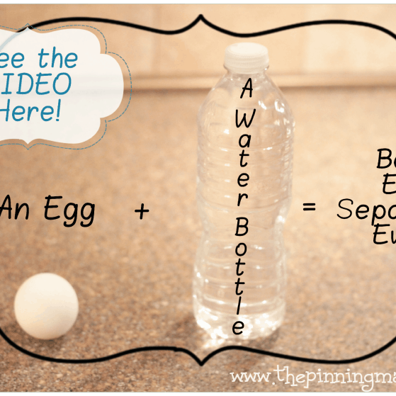 How to Seperate an Egg