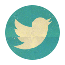 twitter-icon