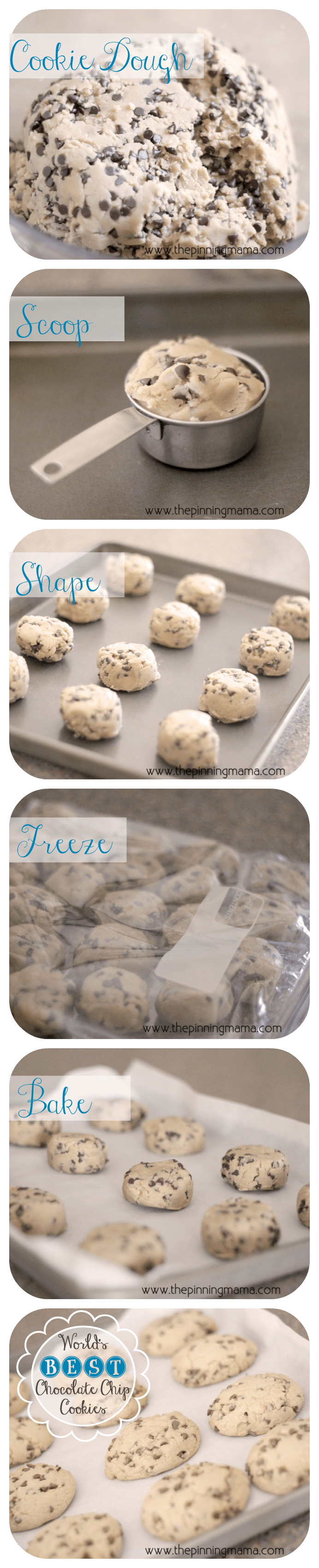 {Copycat} Panera Chewy Chocolate Chip Cookies by www.thepinningmama.com