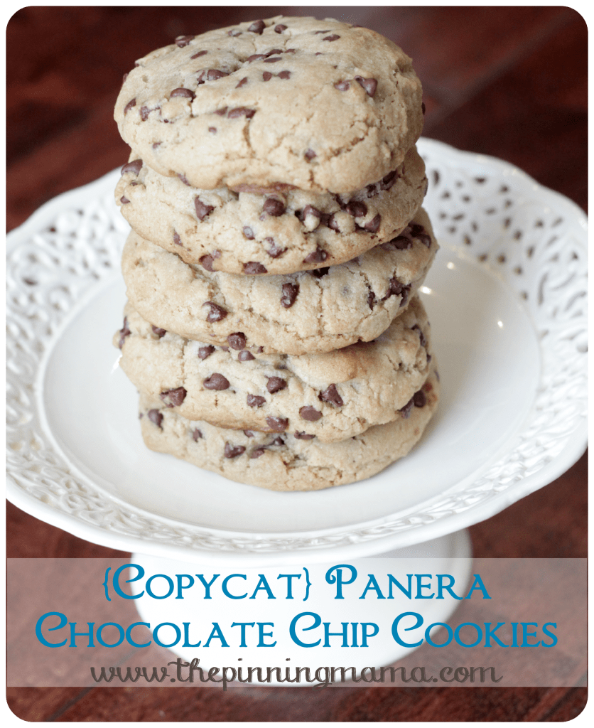 {Copycat} Panera Chewy Chocolate Chip Cookies by www.thepinningmama.com