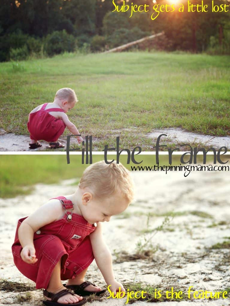How to Take Great Pictures with the Camera You Already Own by www.thepinningmama.com