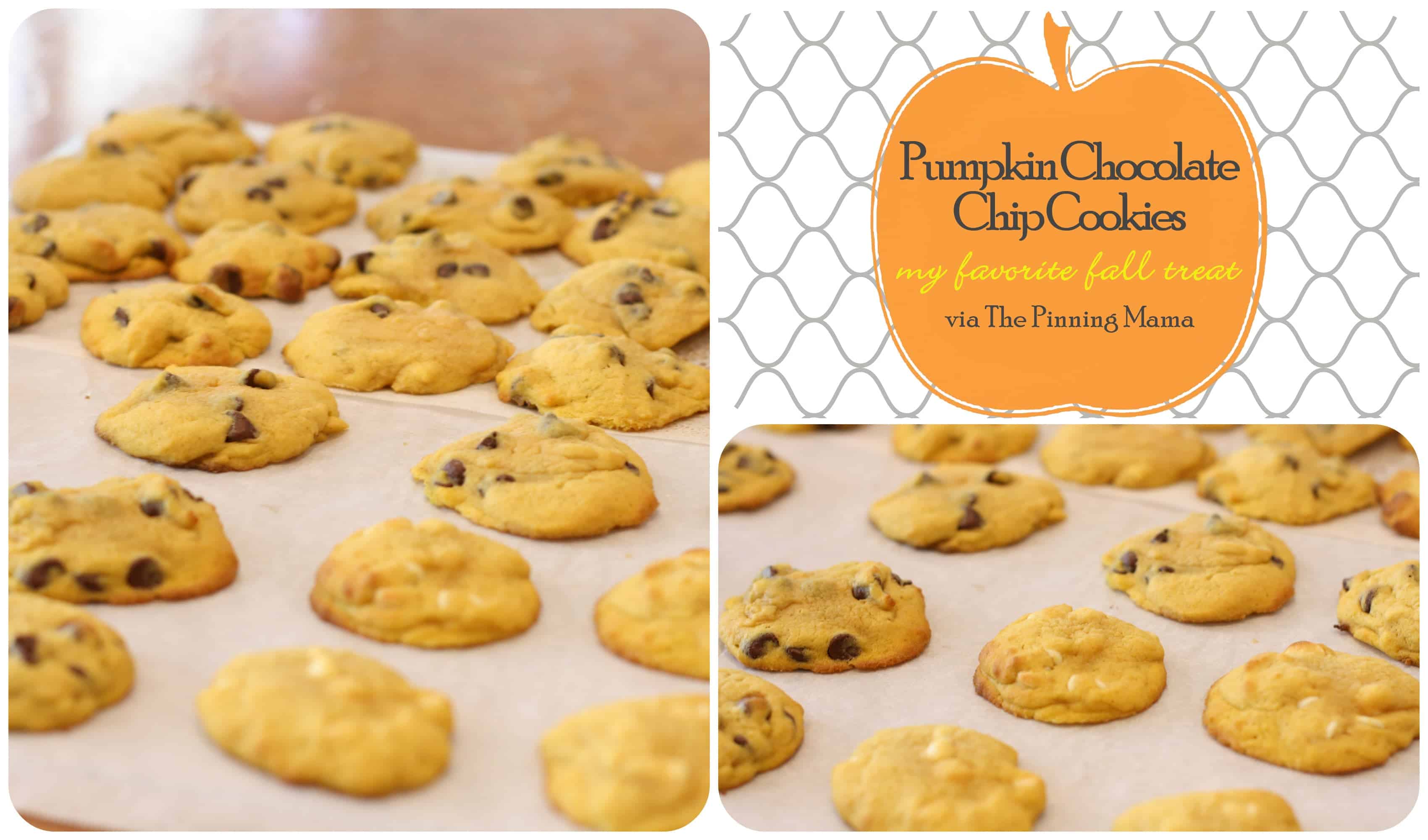 pumpkin chocolate chip cookies via the pinning mama