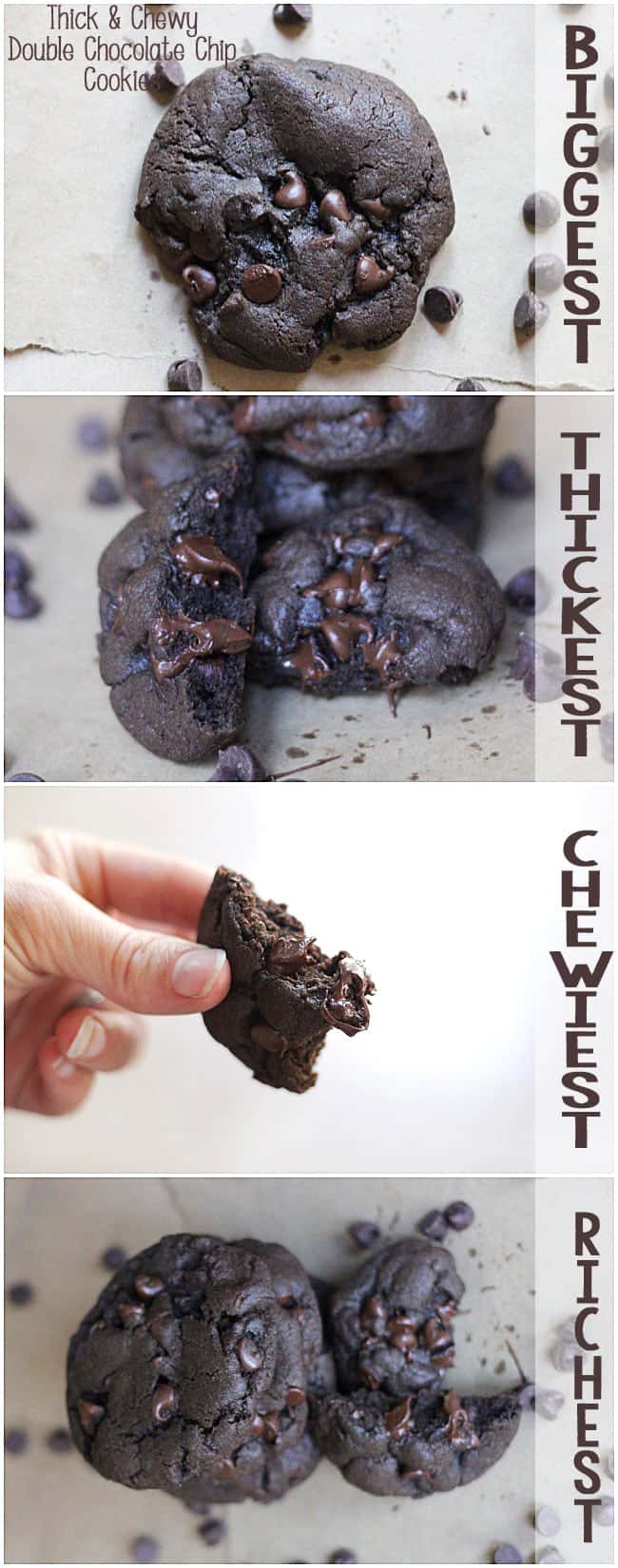 How to make the thickest and chewiest chocolate chocolate chip cookies - Click here to get step by step and all the tips and tricks for super thick and chewy cookies!