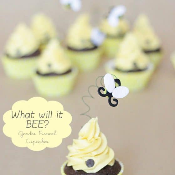Which will it BEE Gender Reveal Cupcakes - Perfect for a baby shower!