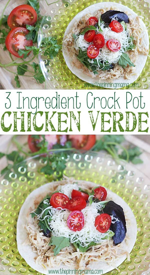 3 Ingredient Crock Pot Chicken Verde - So delicious and SO easy. Easiest weeknight meal!