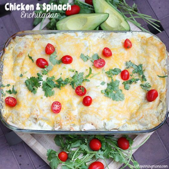 Chicken & Spinach Enchilada recipe made easy using the crock pot!