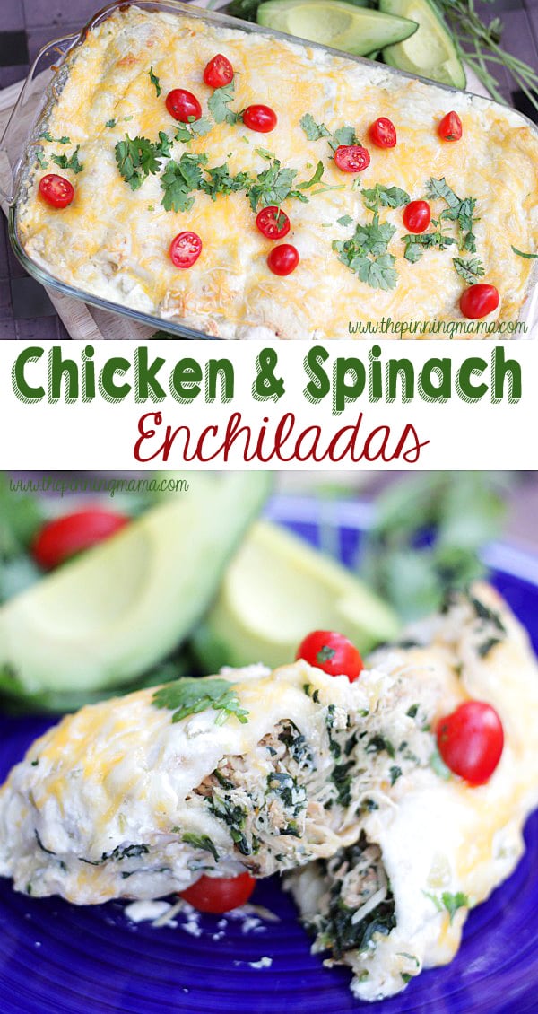 These chicken and spinach enchiladas are packed full of nutrition and so DELICIOUS!