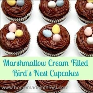 birdnest_cupcakes_featured-300x300