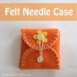 felt needle case title