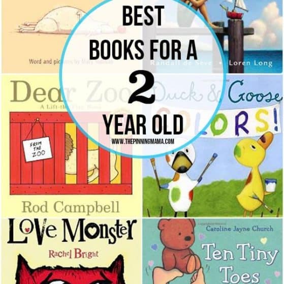 Looking for a gift? Here's a collection of the best books for 2 year old boys.