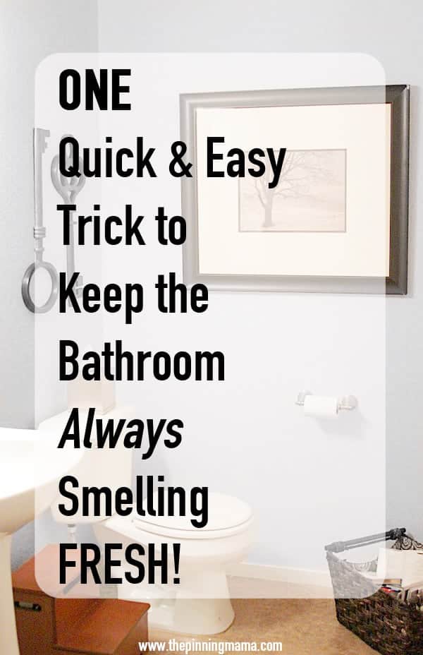 One Quick Trick to Keep Your Bathroom Smelling Fresh • The