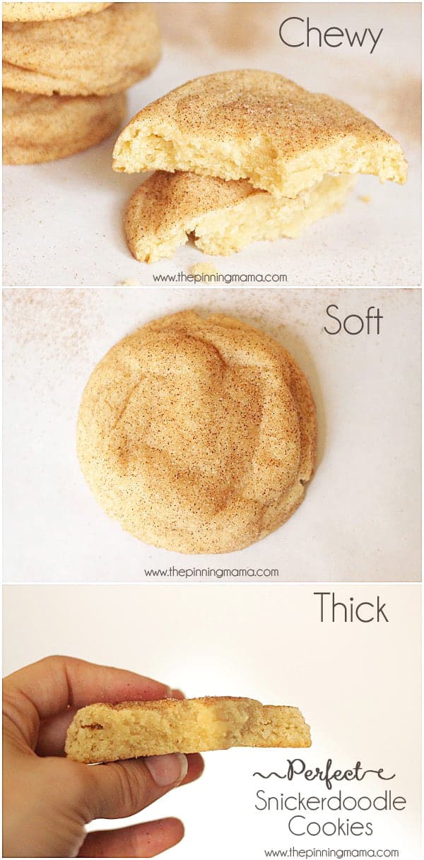 The only recipe for snickerdoodle cookies you will EVER need! These are the best!