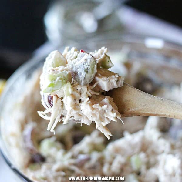 Greek Chicken Salad Recipe - This is AMAZING! Recipe includes directions to make it Whole30 compliant, paleo, gluten free, dairy free, and low carb! I didn't know healthy food tasted this good!
