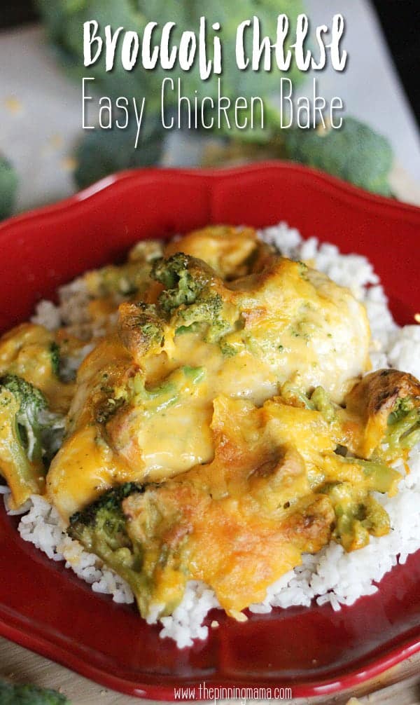 Broccoli Cheese Chicken Bake Recipe- My dream come true! All the goodness of broccoli and cheddar cheese baked over chicken and it is SO easy to make!