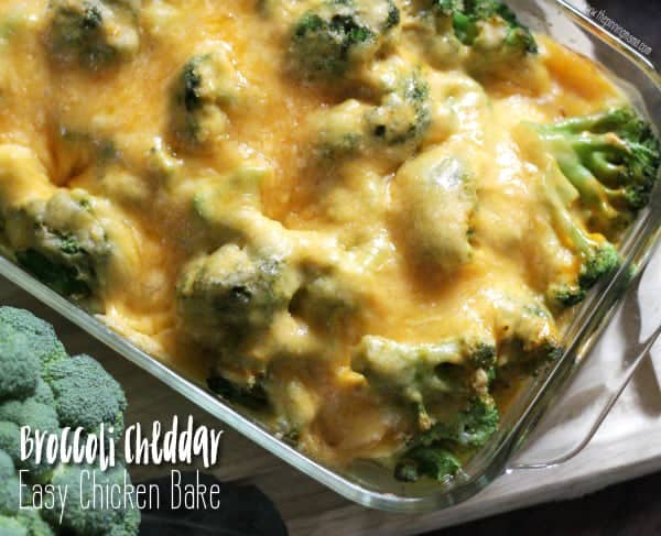 Broccoli Cheese Chicken Bake Recipe {Easy Dinner Idea 