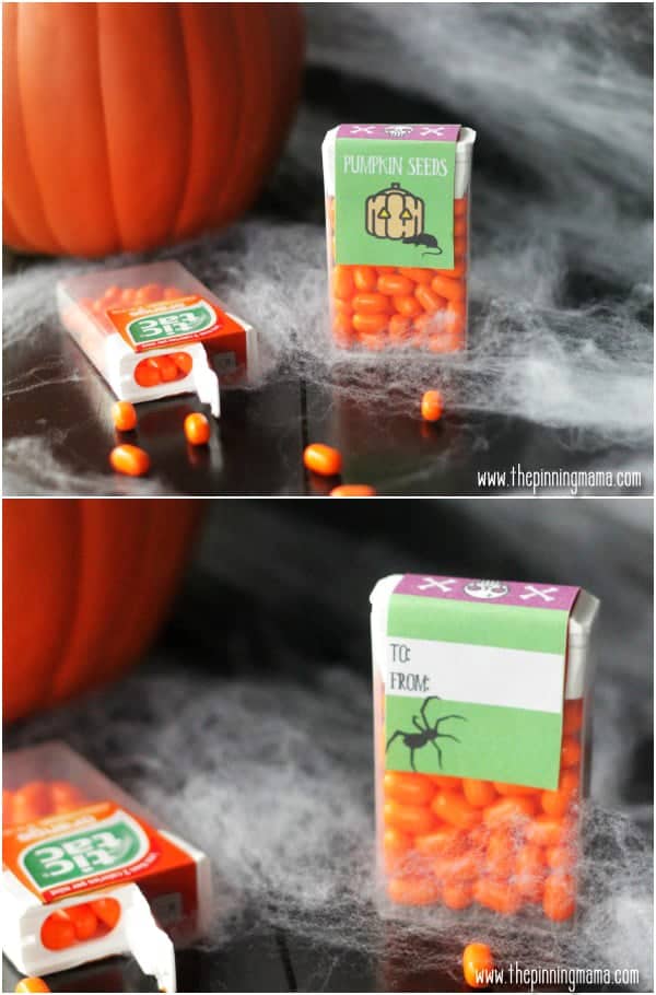 These Halloween tic tacs with free printable labels are so much better to give out than candy on Halloween.  So cute!