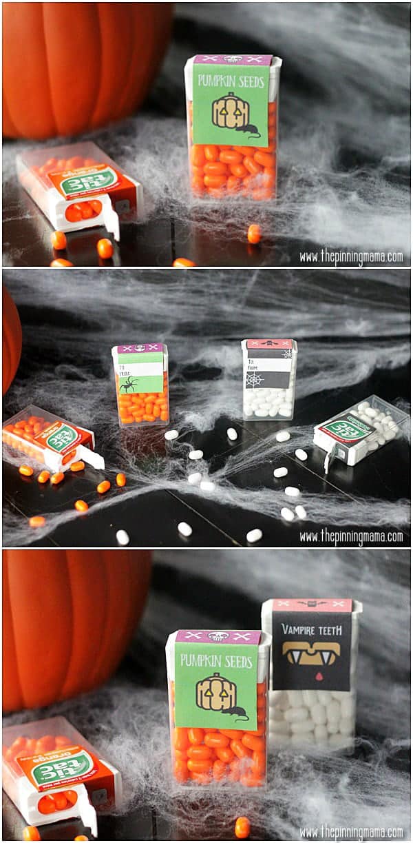 What a fun idea for kids to give to school friends for Halloween!  Free Printable tic tac labels!
