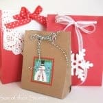 envelope gift bags 2
