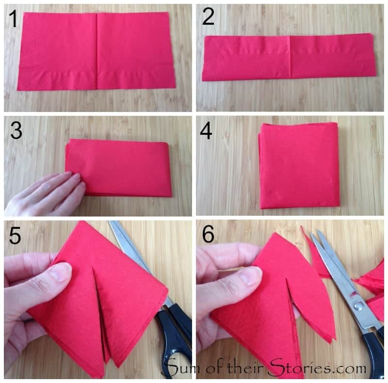 napkin fold