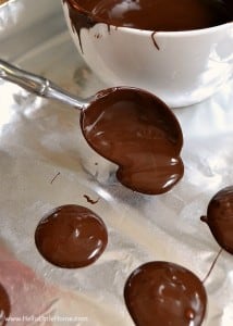 Make these delicious Chocolate Fruit and Nut Clusters in minutes! They make a great gift! | Hello Little Home for The Pinning Mama