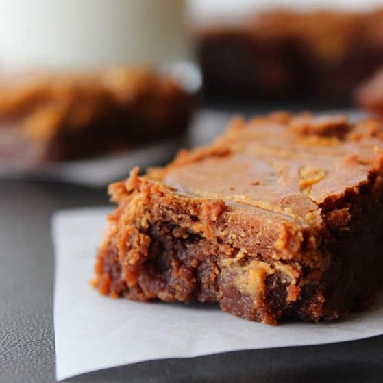 Double Dark Chocolate Peanut Butter Brownie - rich, fudgy, with a peanut butter swirl!