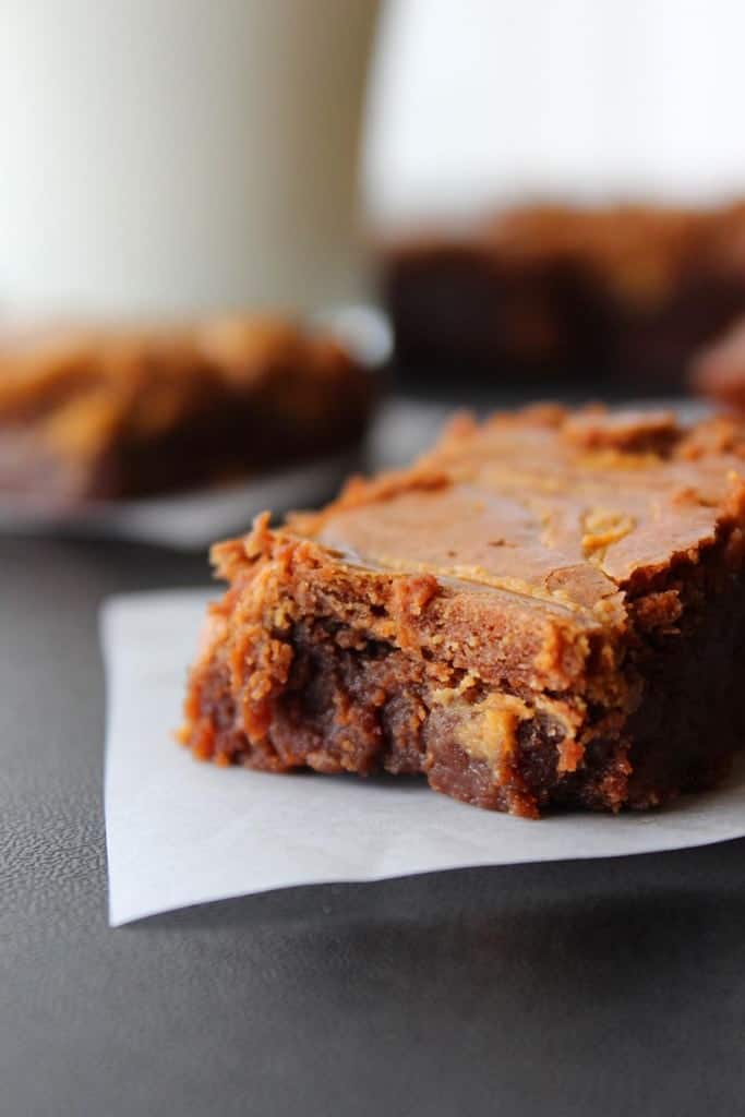 Double Dark Chocolate Peanut Butter Brownie - rich, fudgy, with a peanut butter swirl!