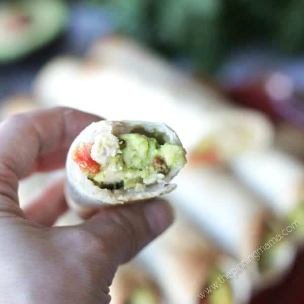 These baked taquitos are SO easy to make a whole pan full! You can whip it up in minutes! Chicken, avocado and lime wrapped up in a crispy tortilla... YUM!