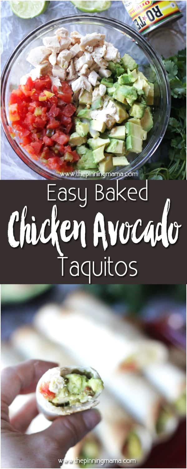Easy Baked Chicken & Avocado Taquitos • The Pinning Mama