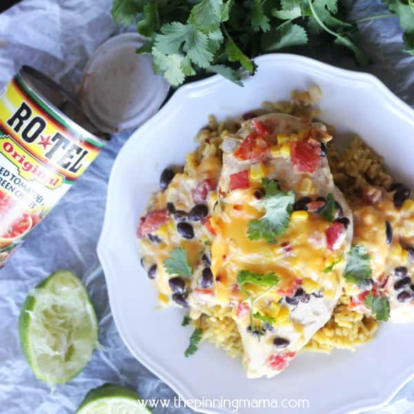 Serve the Queso Chicken over rice, with tortillas or even a salad. This dinner is easy and delicious. Easy to make and easy to clean up, plus the kids will devour it!