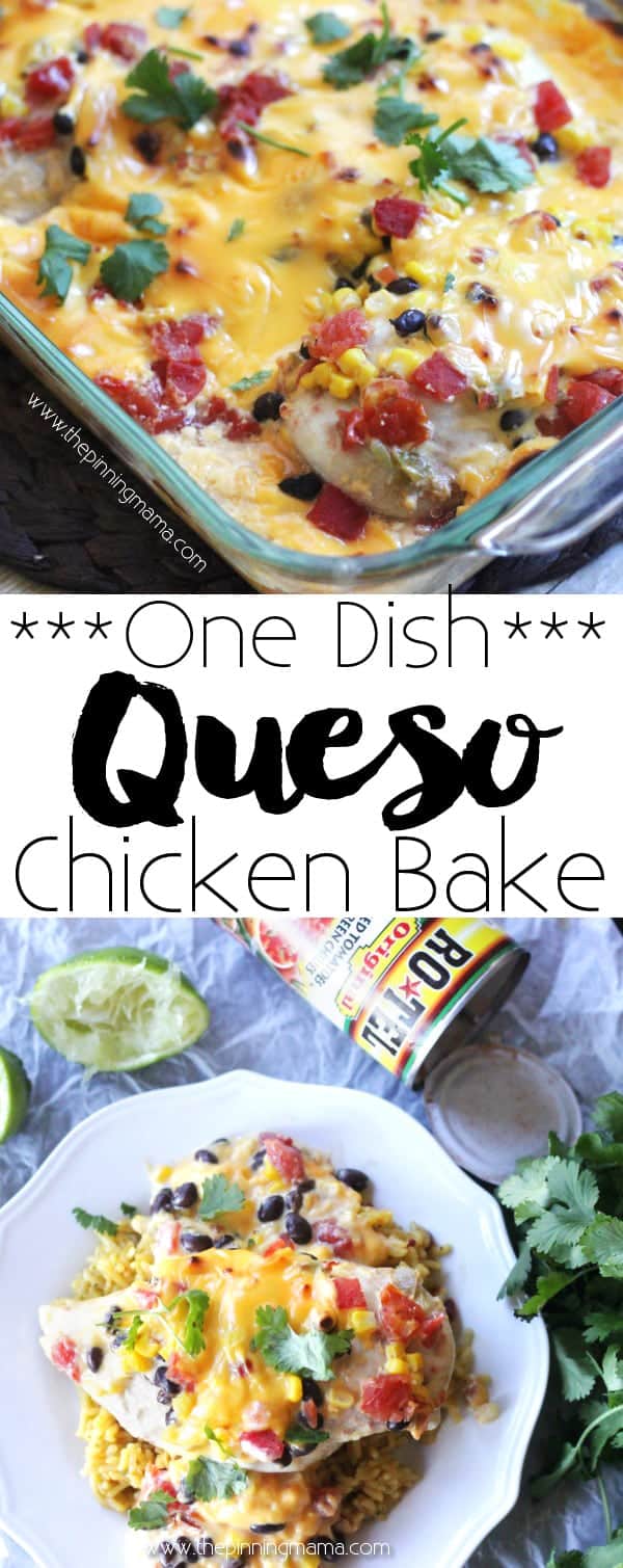 Queso Chicken Bake Recipe - One Dish + 10 minutes of prep + 5 ingredients = EASY & DELICIOUS dinner in no time! If you love Rotel cheese dip you will devour this recipe!