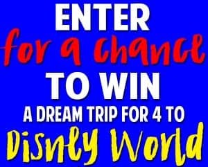 Enter for a chance to win a trip to Disney World!!