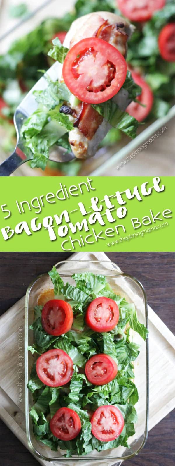 BLT Chicken Bake - Easy week night dinner recipe. Only 5 ingredients and minutes of prep to a hot, fresh and DELICIOUS chicken dinner baked in a casserole dish. A new twist on the classic bacon, lettuce, and tomato flavor combo!