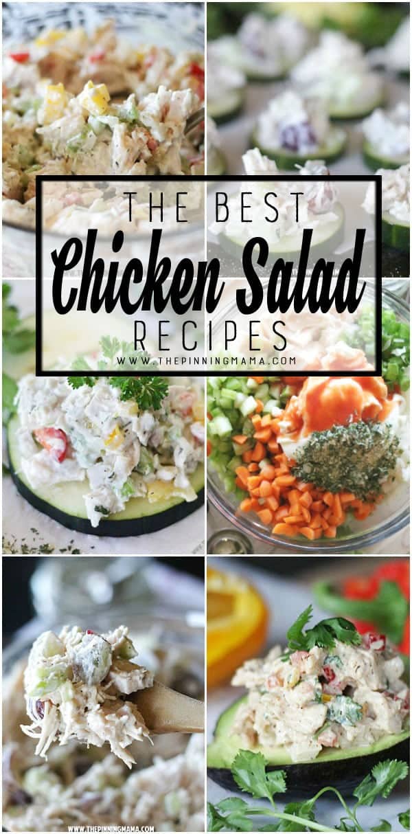 Best Chicken Salad Recipes • The Pinning Mama