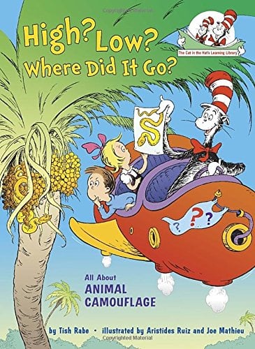 10+ Top Books for Kids to Read this Summer: High? Low? Where did it Go?| www.thepinningmama.com