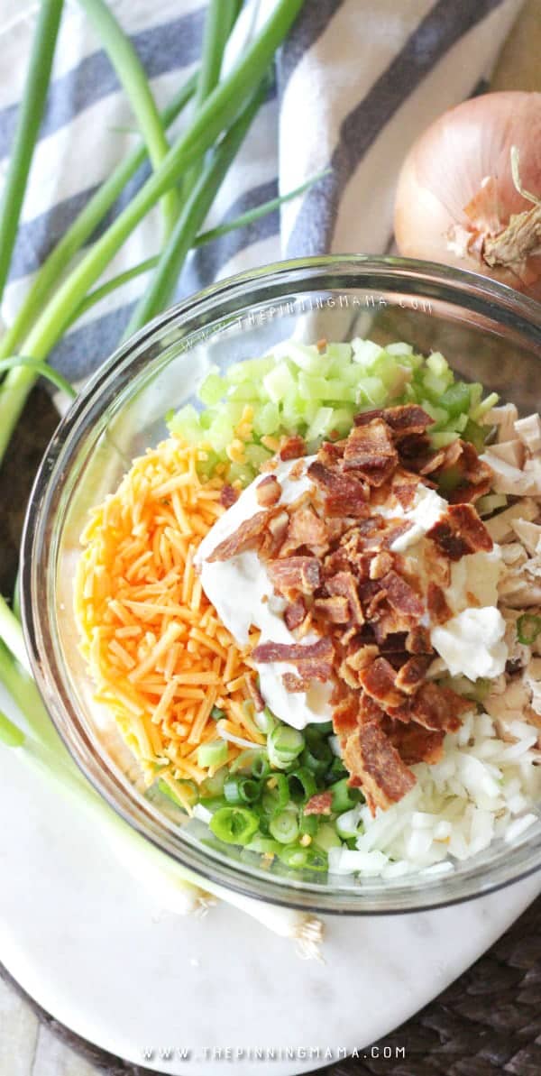 Chicken Salad Ingredients Shown in bowl: Chicken, Mayo, Celery, Onion, Cheddar Cheese, fresh bacon crumbles