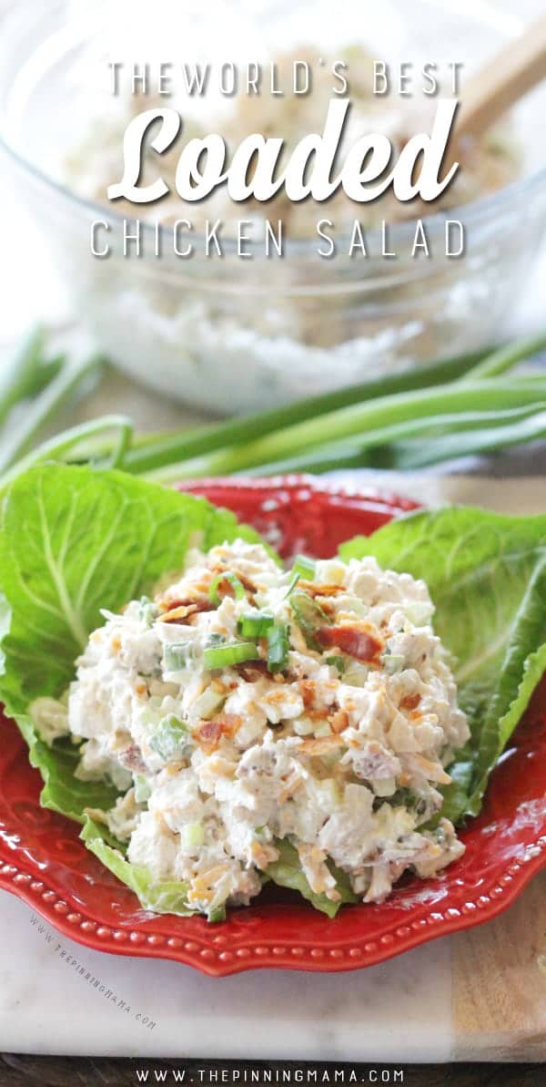 The World's Best Loaded Chicken Salad Recipe • The Pinning Mama