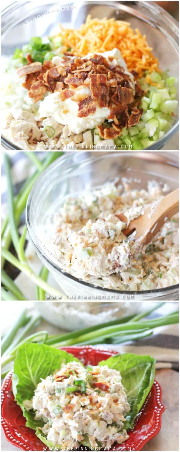 Chicken Salad Ingredients show separated before mixing in large bowl