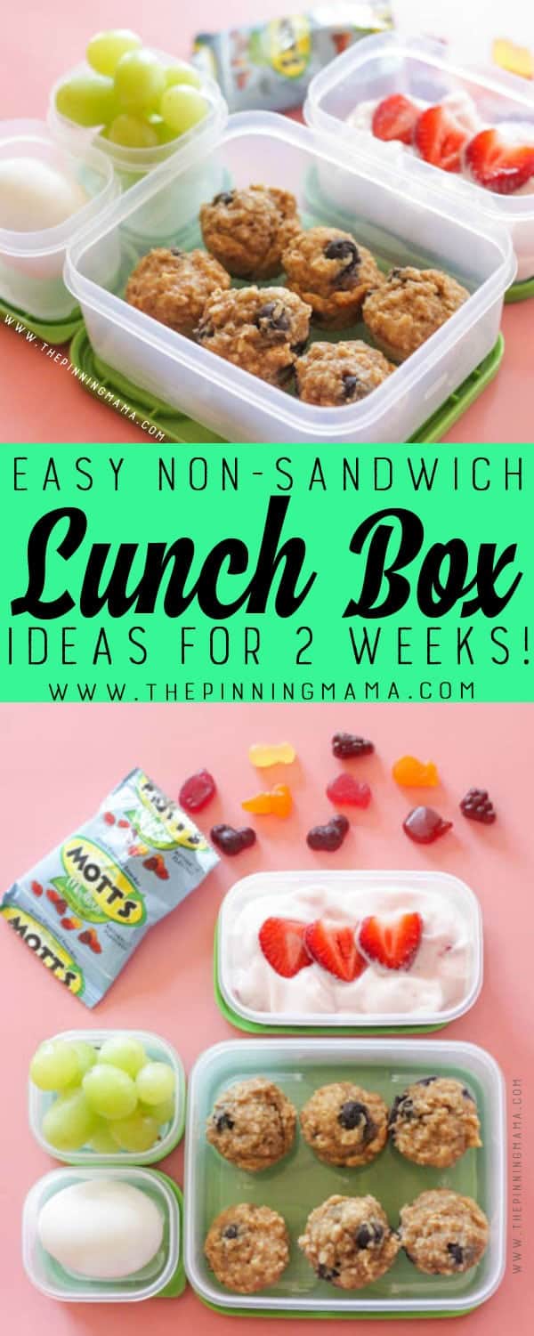 Blueberry Super Food Muffins Lunch box idea - Just one of 2 weeks worth of non-sandwich school lunch ideas that are fun, healthy, and easy to make! Grab your lunch bag or bento box and get started!