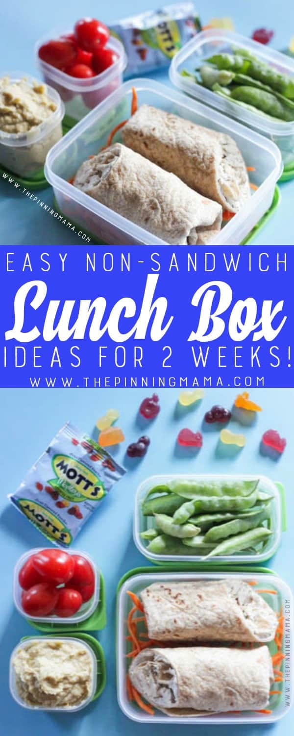 Chicken Gyro Wrap Lunch box idea - Just one of 2 weeks worth of non-sandwich school lunch ideas that are fun, healthy, and easy to make! Grab your lunch bag or bento box and get started!