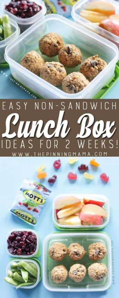2 Weeks of No-Sandwich Lunch Box Ideas Kids will LOVE- No Repeats ...