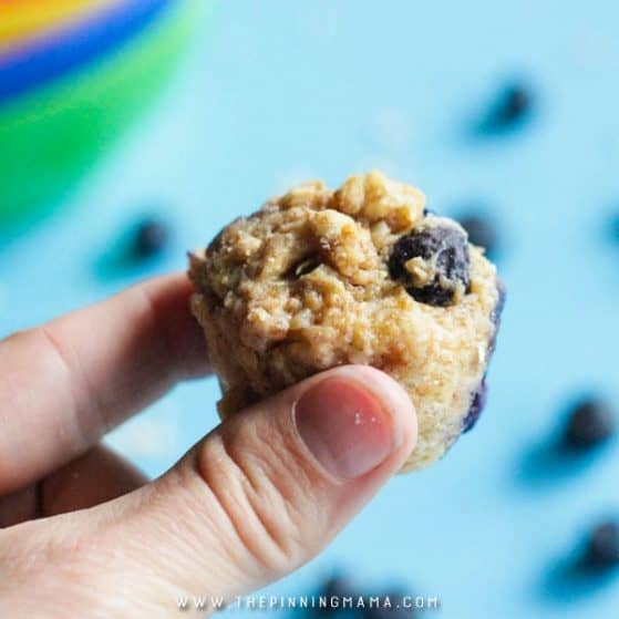 Quick and easy Toddler Super food muffins. These are so good I eat them for snacks too!
