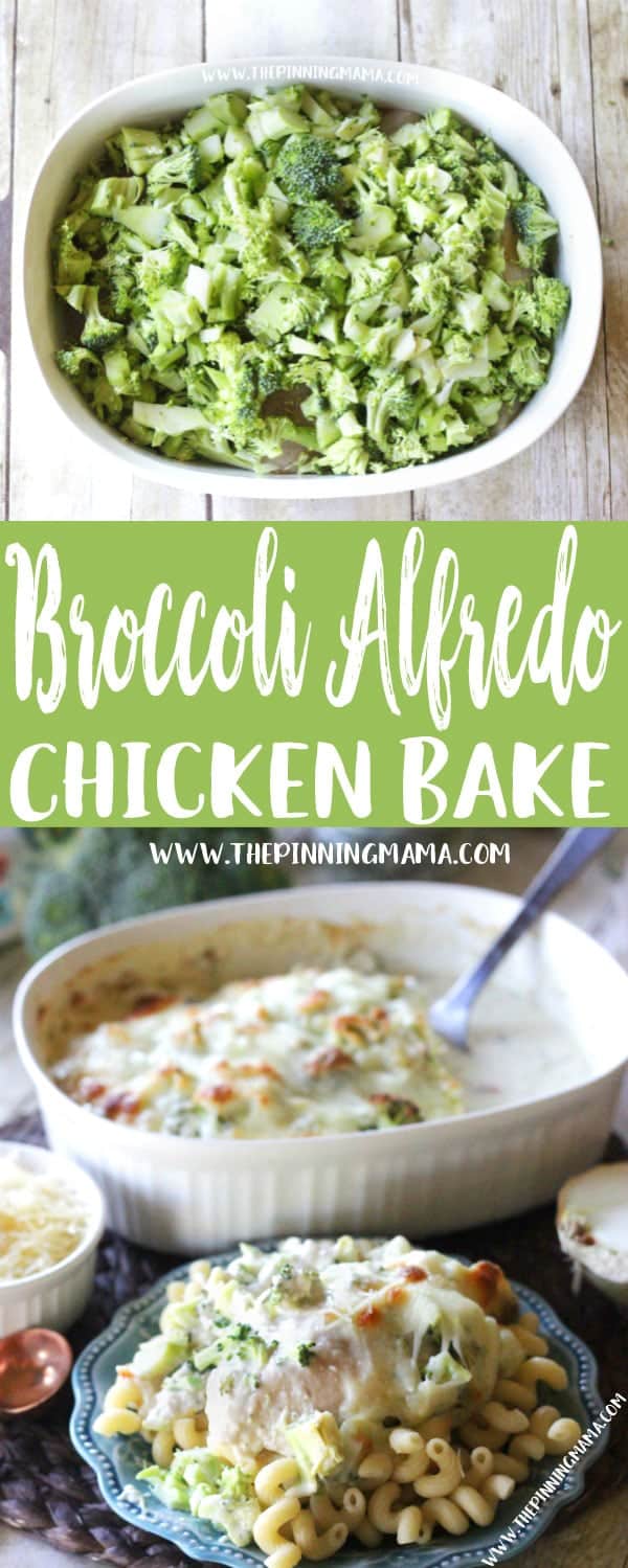 Easy + Delicious = Perfect dinner!! Only one dish and a few ingredients and you come out with a hot fresh super delicious dinner. This Easy Broccoli Alfredo Chicken Bake Recipe is perfect when you are looking for easy weeknight dinner ideas. Add this to your weekly meal plan!