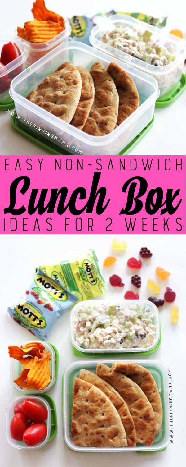 Chicken Salad lunch box idea for kids! Just one of 2 weeks worth of non-sandwich school lunch ideas that are fun, healthy, and easy to make! Grab your lunch bag or bento box and get started!