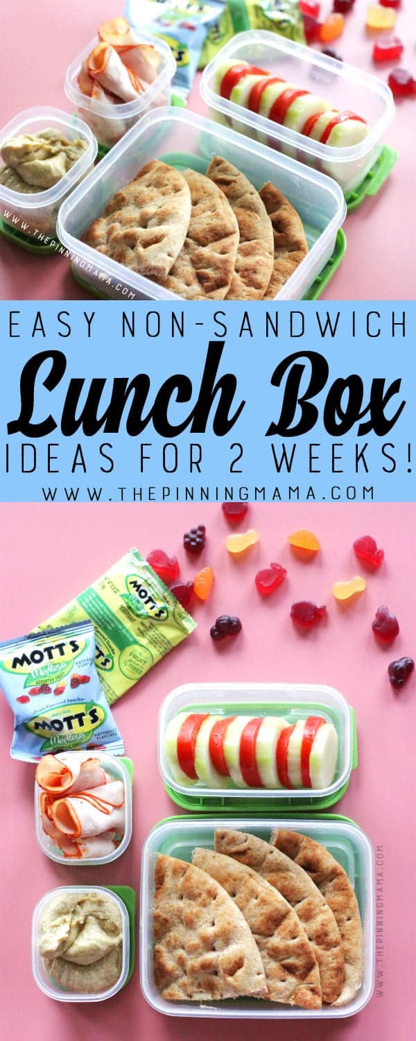Hummus & Pita lunch box idea for kids! Just one of 2 weeks worth of non-sandwich school lunch ideas that are fun, healthy, and easy to make! Grab your lunch bag or bento box and get started!