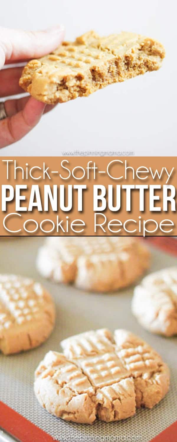 Soft Chewy Thick Peanut Butter Cookies Recipe - You will never make another recipe again!  These are SO SO SO good!