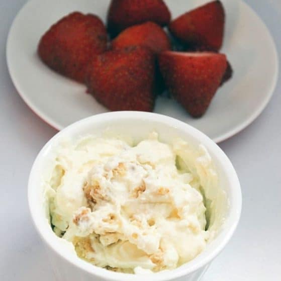 40 Snacks on the Go | www.thepinningmama.com