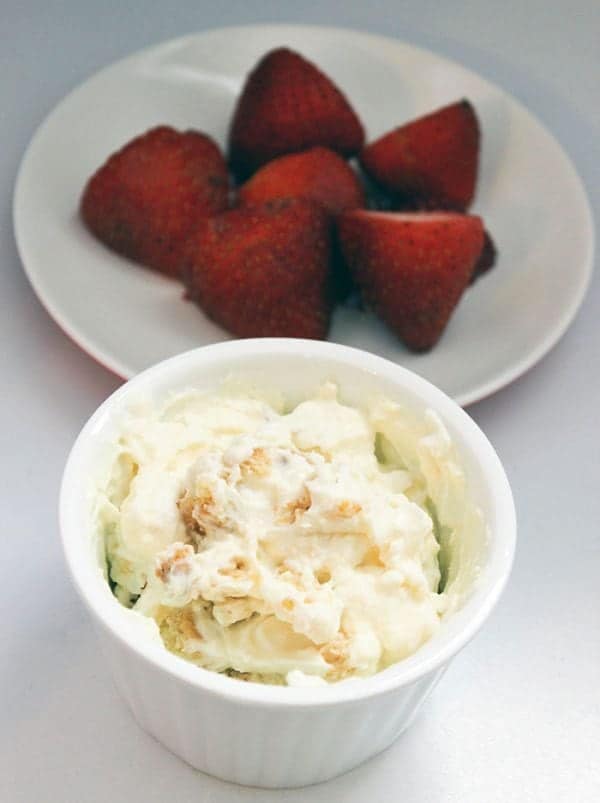 40 Snacks on the Go | www.thepinningmama.com