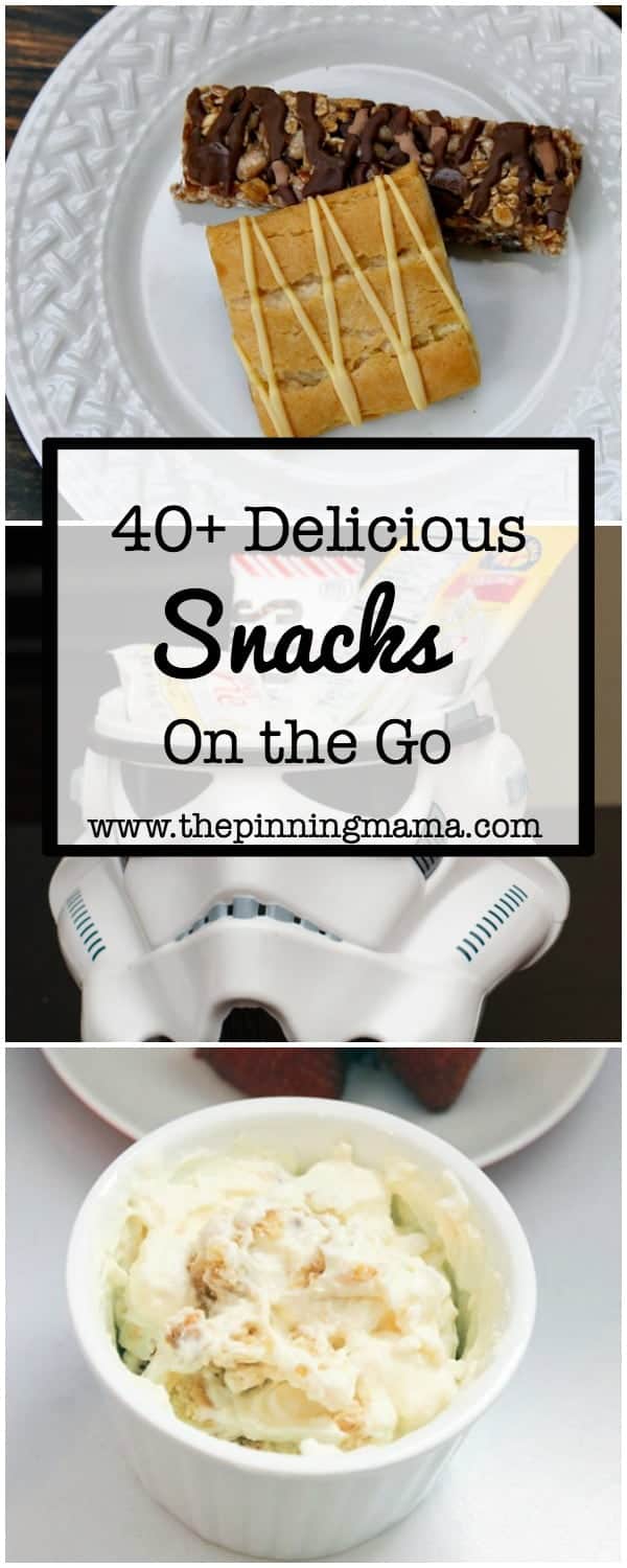 40 Snacks on the Go | www.thepinningmama.com