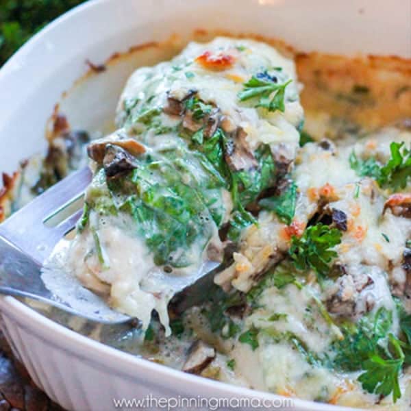 Easy + Delicious = BEST DINNER RECIPE EVER! The Cali-Alfredo Chicken bake is chicken breast baked with spinach, mushrooms, bacon, alfredo and cheese on top. It literally tastes like something you order at a restaurant!